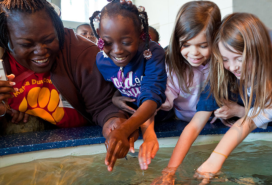 south-carolina-aquarium-field-trips