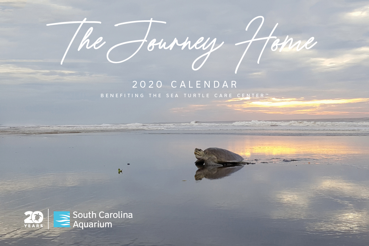 Journey Home Calendar