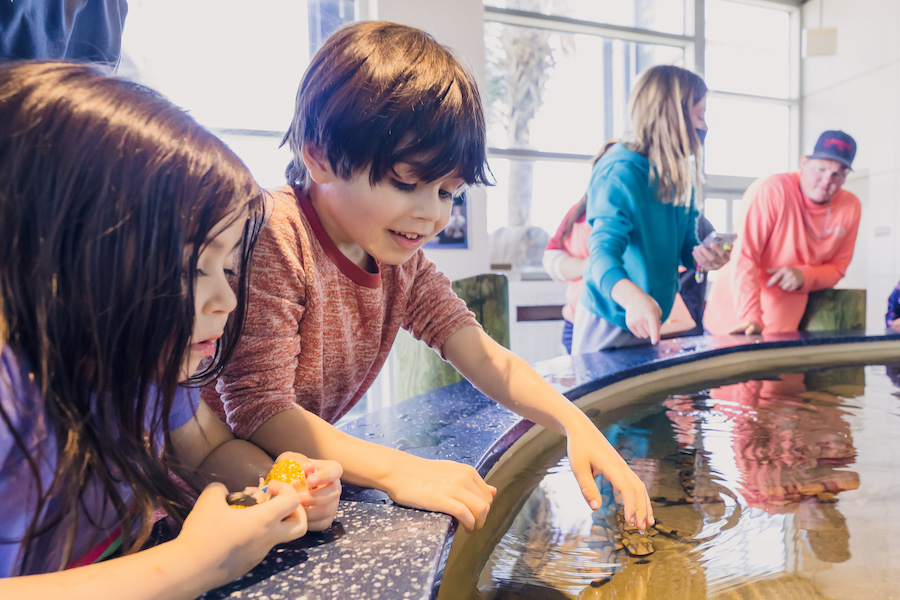 Two children, a boy and a girl, look at the Touch Tank at South Carolina Aquarium. The boy reaches his hand toward the water.