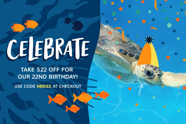 Take $22 off for our 22nd birthday. A sea turtle with a photoshopped party hat swims in a tank.