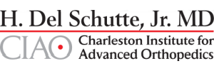 Sponsor Logo Size (3) H. Del Schutte, Jr. MD CIAO Charleston Institute for Advanced Orthopedics