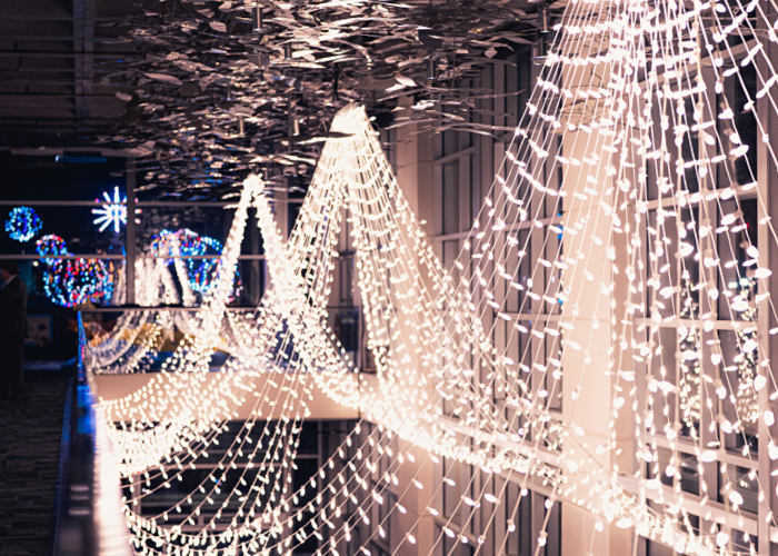 Strands of warm white LED lights hang cathedral style in the Great Hall at South Carolina Aquarium