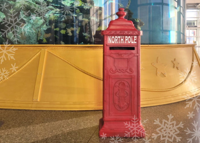 A red mailbox labeled North Pole sits in front of a tank at the South Carolina Aquarium