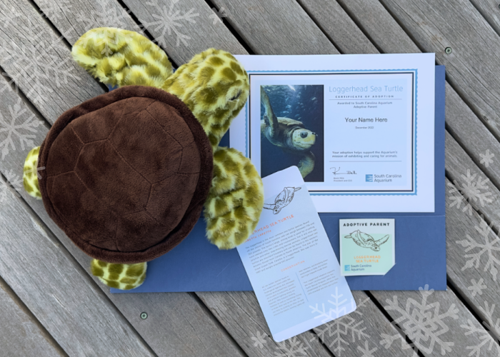 holiday adopt 2022 A plush sea turtle, adoption certificate, fact sheet and adoptive parent decal are pictured as part of an adopt an animal package